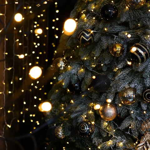 Take away Christmas menu 24/12/2024